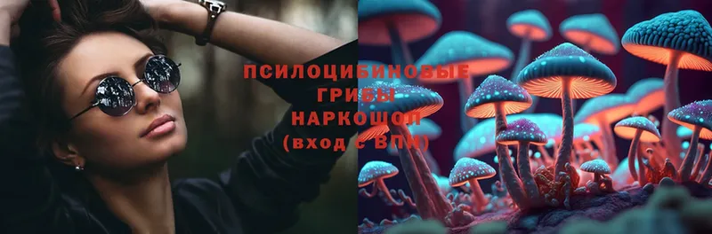 закладки  Невинномысск  Галлюциногенные грибы MAGIC MUSHROOMS 